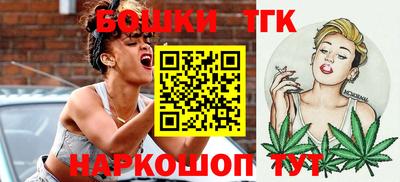 индика Беслан
