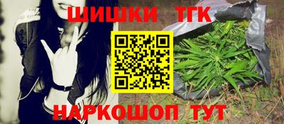 индика Беслан