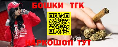 индика Беслан