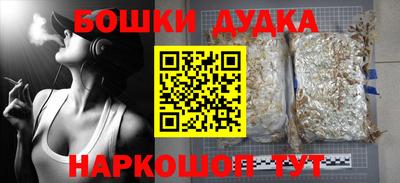 индика Беслан