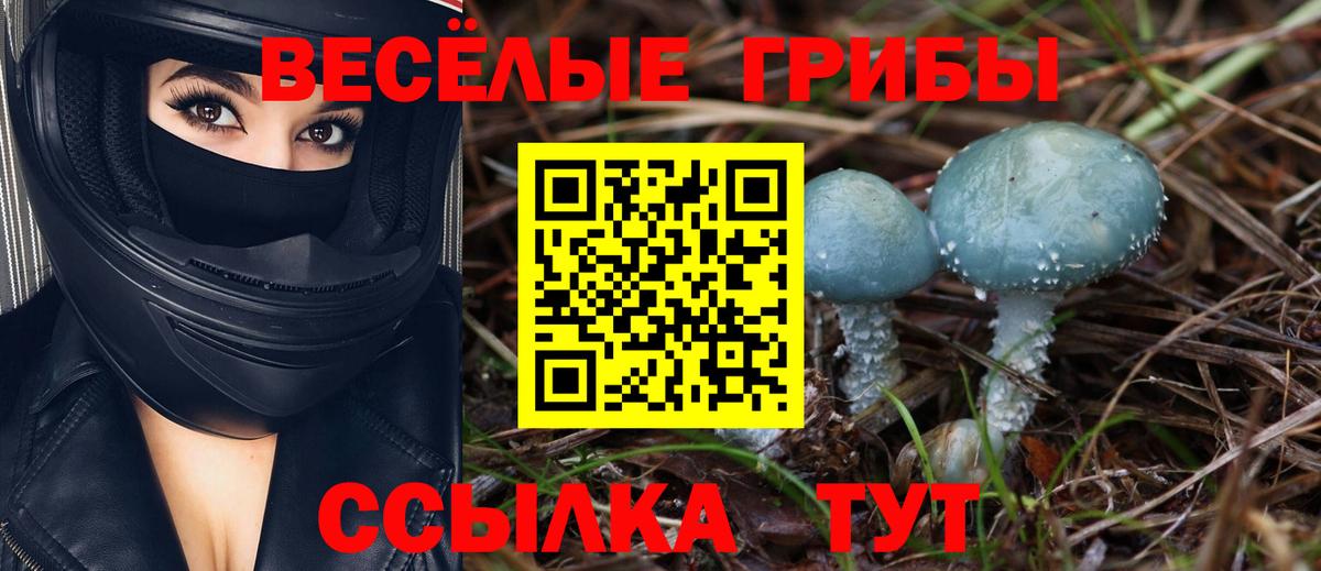 Псилоцибиновые грибы мицелий Владимир