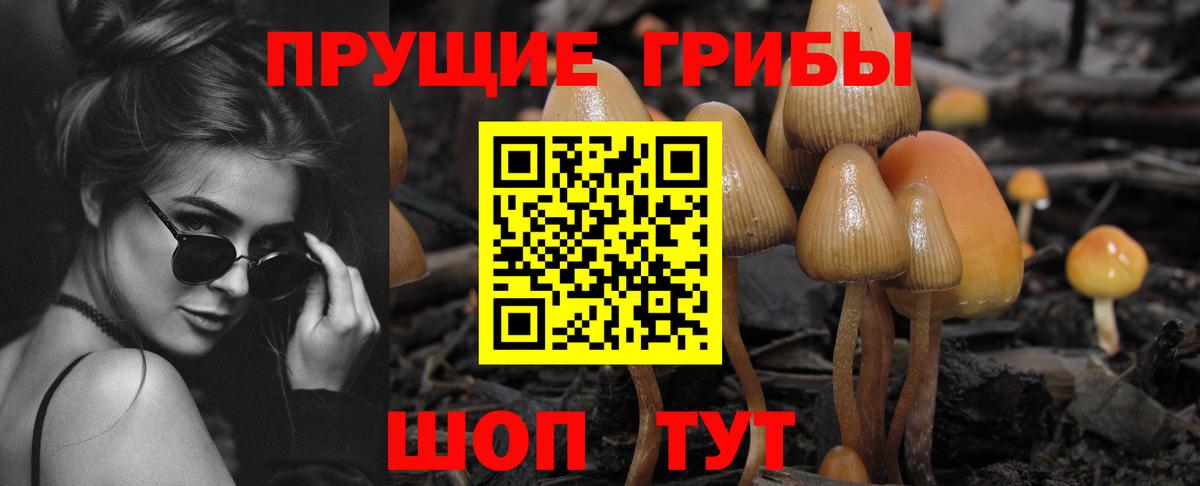 Галлюциногенные грибы Psilocybe  Вход с VPN  Владимир  Галлюциногенные грибы MAGIC MUSHROOMS 
